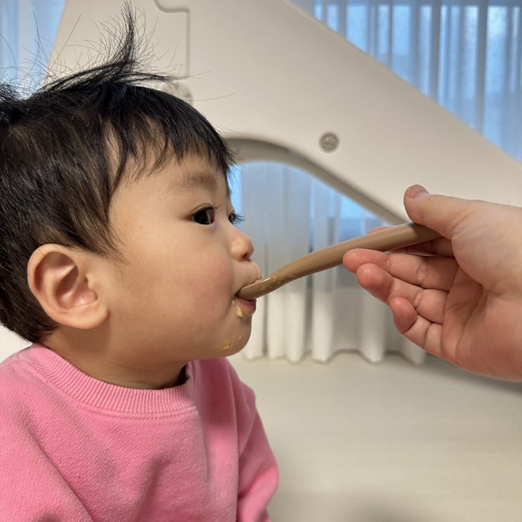  오트밀 종류와 간단한 아기 오트밀포리지 만드는 방법