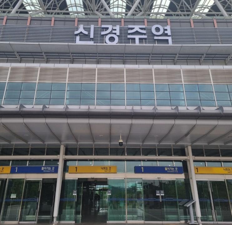  빠삐용 춘삼이와 함께한 경주여행! 떠나요 1박2일 반려견 동반 여행 :) - 첫번째날~!