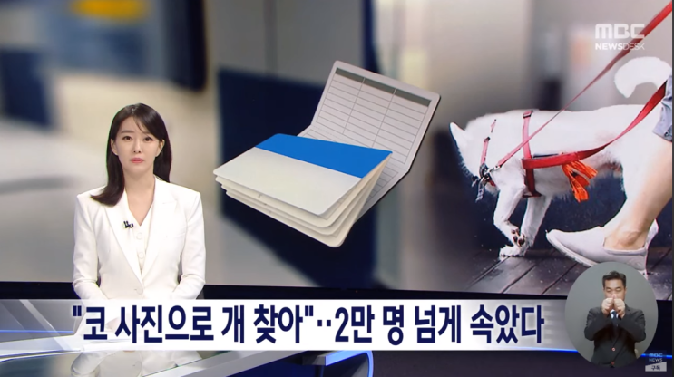  뺀질나게 투자자를 찾아다니는 '놀라운 투자대상'은 없다  (ft. 코 사진으로 잃어버린 반려견을 찾는다는 투자 사기)