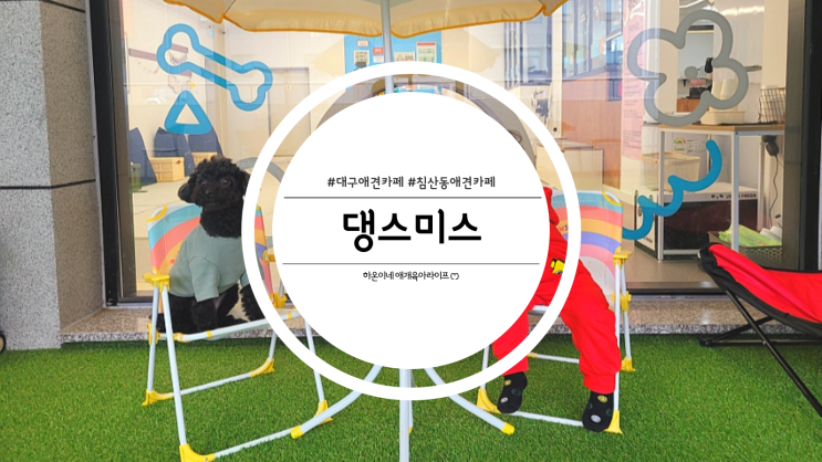  대구 침산동 실내애견카페 애견유치원 댕스미스