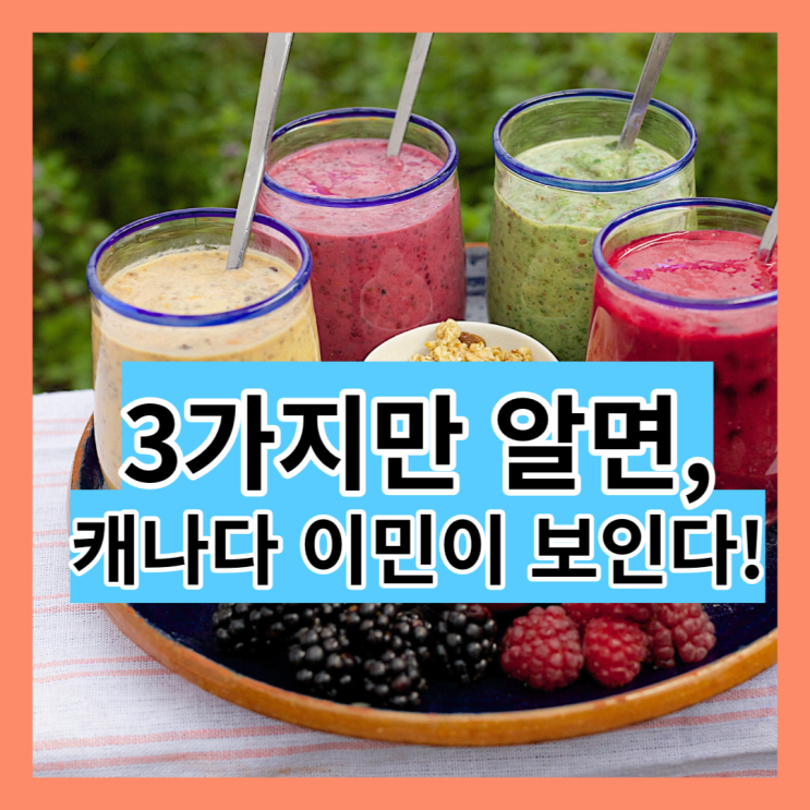  3가지만 알면 캐나다 이민이 보입니다 - 가장 알기 쉬운 "캐나다 이민 레시피" (23)