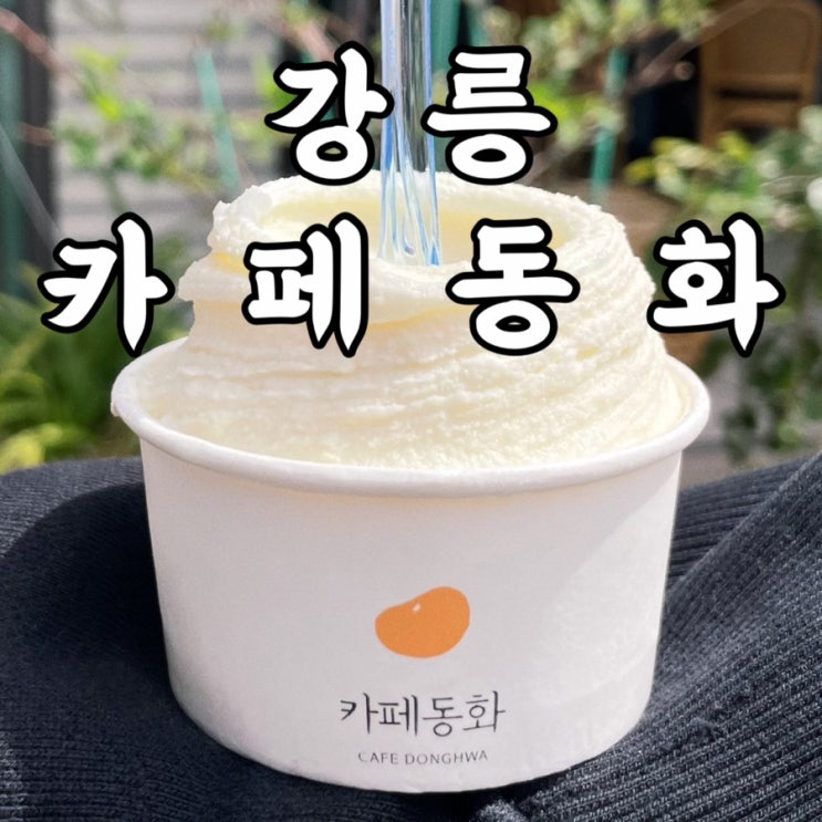  강릉카페 카페동화 강릉 여행코스 동화가든 먹고 순두부젤라또 후식