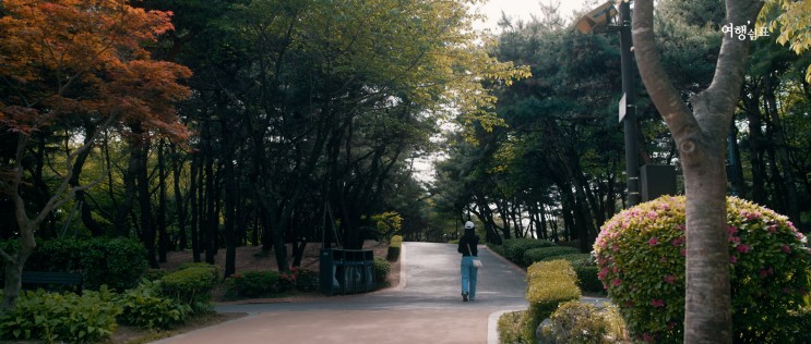 서울 데이트, 남산타워 말고 '남산공원 산책로'
