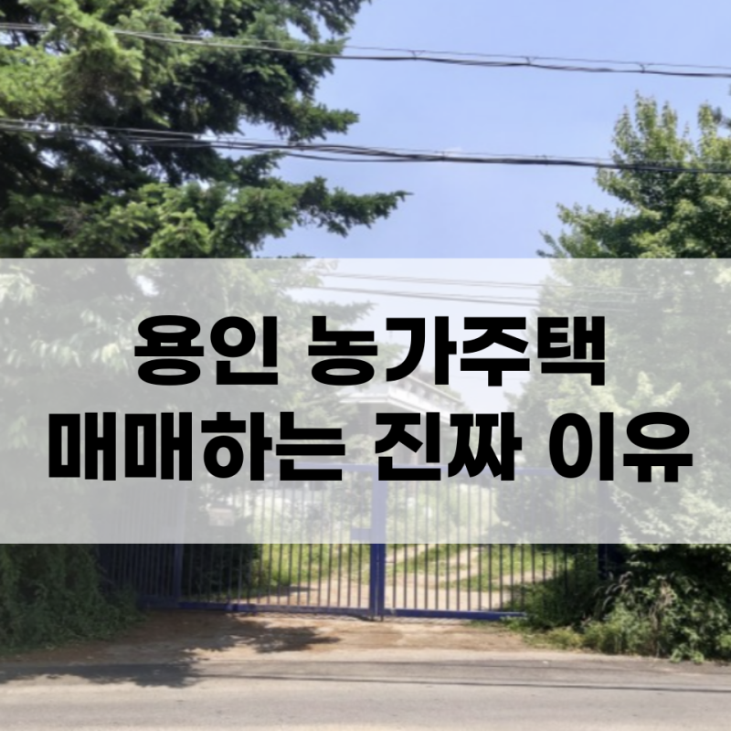 경기도 용인 빈집으로 있는 시골집 농가주택 매매하는 진짜이유