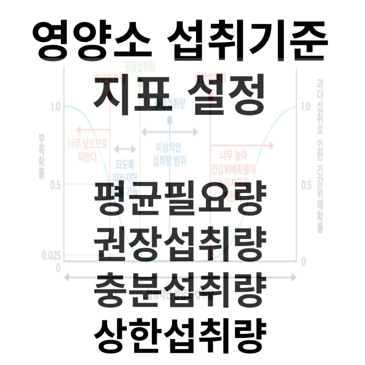  한국인 영양소 섭취기준 지표 설정(평균필요량 권장섭취량 충분섭취량 상한섭취량 만성질환위험감소섭취량 에너지적정비율)