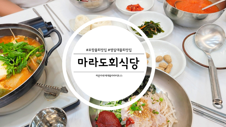  아이 메뉴 있는 포항 영일대 물회 맛집 마라도회식당
