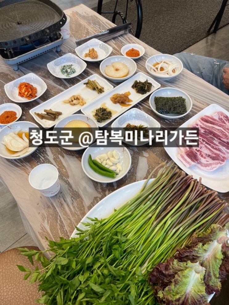  청도 한재 탐복미나리가든 생방송투데이에 나온 삼겹살 맛집 !