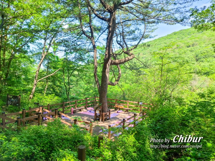 의왕 가볼만한곳 바라산자연휴양림 산림치유 프로그램