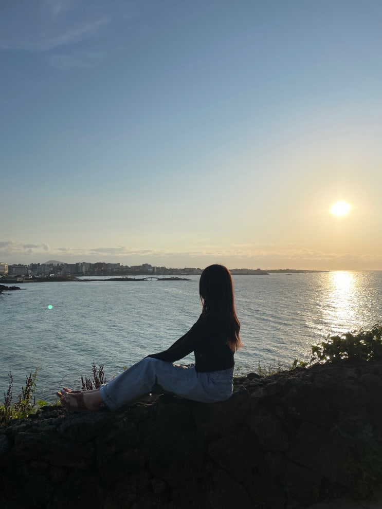  6월,, 제주도로 퇴근하는 여자... 휴가 없이 2박 3일 (제주 서쪽 수국스팟 추천/동광리 수국길/서우봉/금능해수욕장)