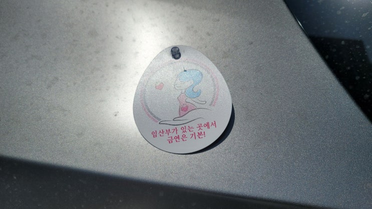  아무짝에 쓸모도 없는 임산부 자동차 등록 및 표지(전기 수소차)