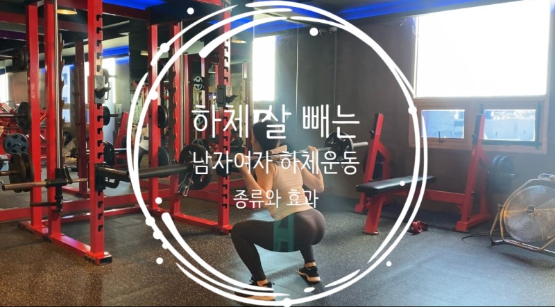 하체 살 빼는 운동 프로그램 남자 여자 하체운동 종류(레그 프레스, 바벨 풀 스쿼트 자세 효과) : 네이버 블로그