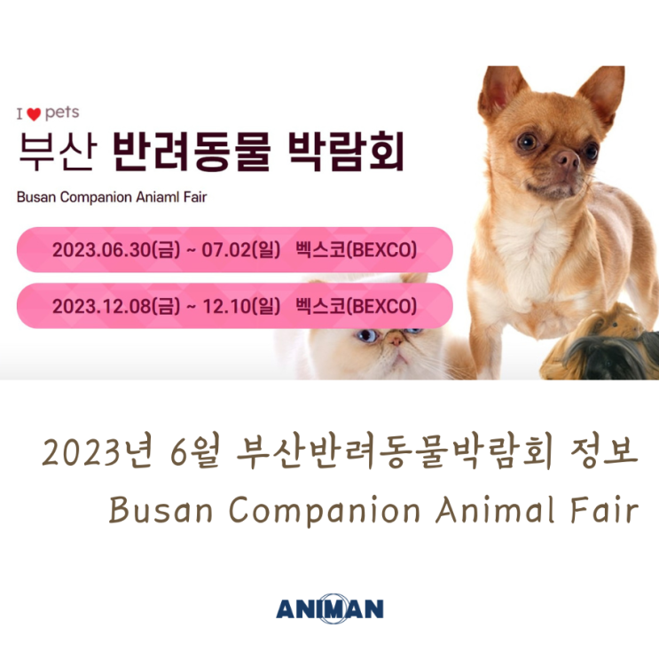 2023년 6월 부산반려동물박람회 정보 / 부산 펫박람회 / Busan Companion Animal Fair