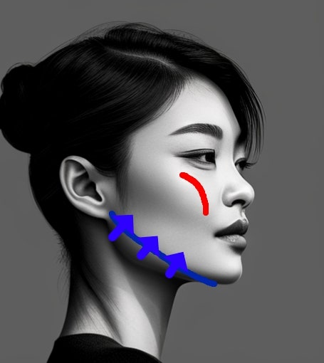 사각턱 수술하면 연예인 브이라인 얼굴이 될수 있을까? : 네이버 블로그