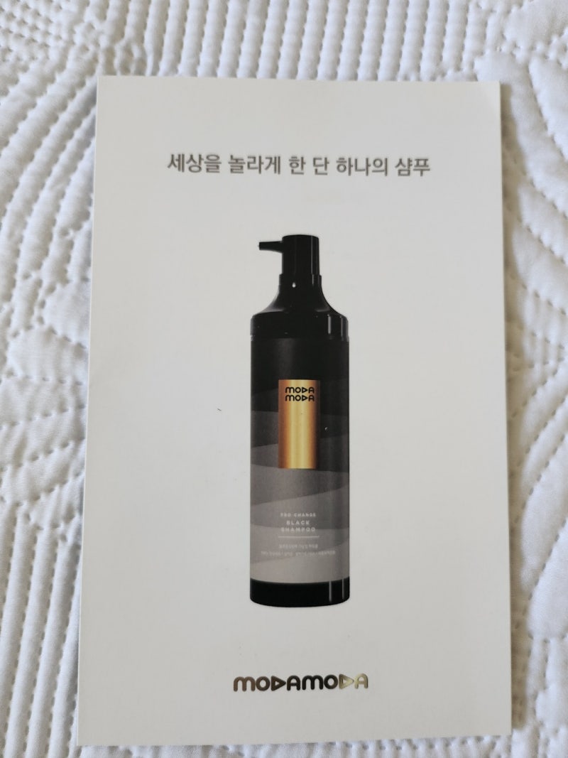 모다모다 프로 체인지 샴푸 사용 후기