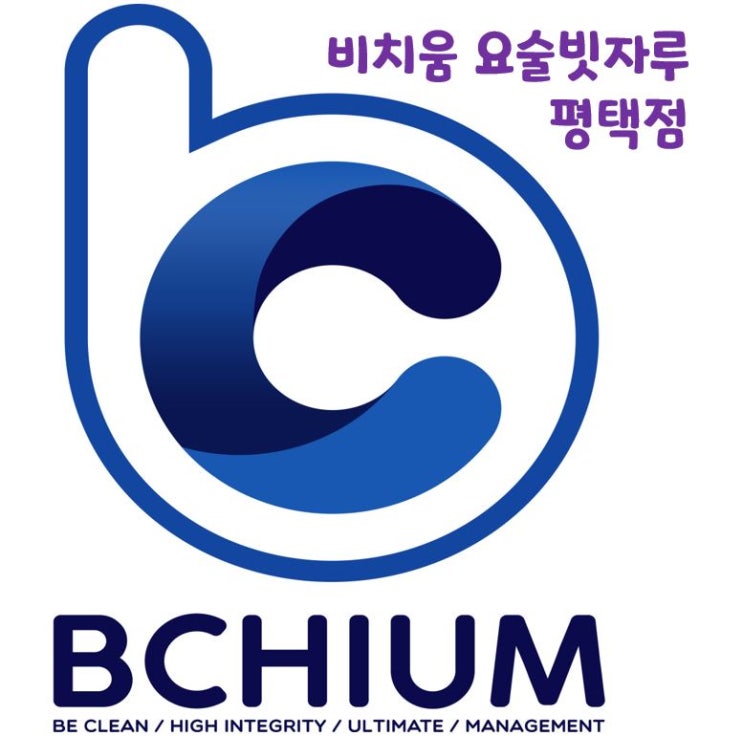  비치움 요술빗자루 매트리스 소파 카페트 청소 가격표
