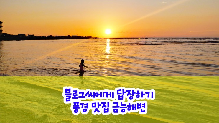 풍경 맛집 : 제주 금능 해변