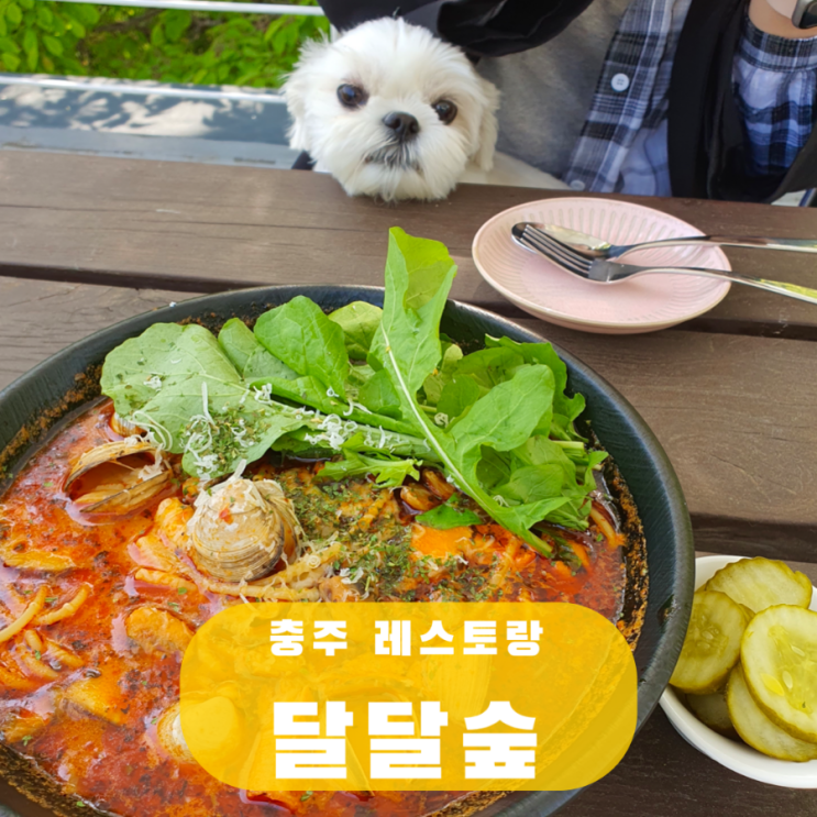  충주 애견동반 데이트 맛집 달달숲, 파스타 피자 카페 뷰