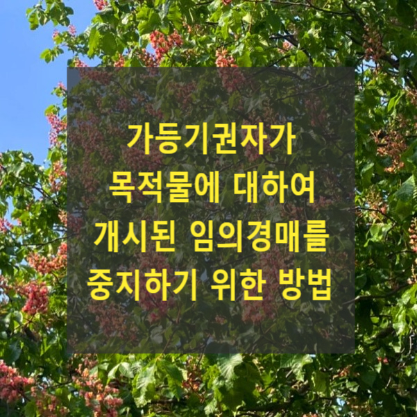  가등기권자가 목적물에 대하여 개시된 임의경매를 중지하기 위한 방법(변제공탁, 강제집행정지신청)