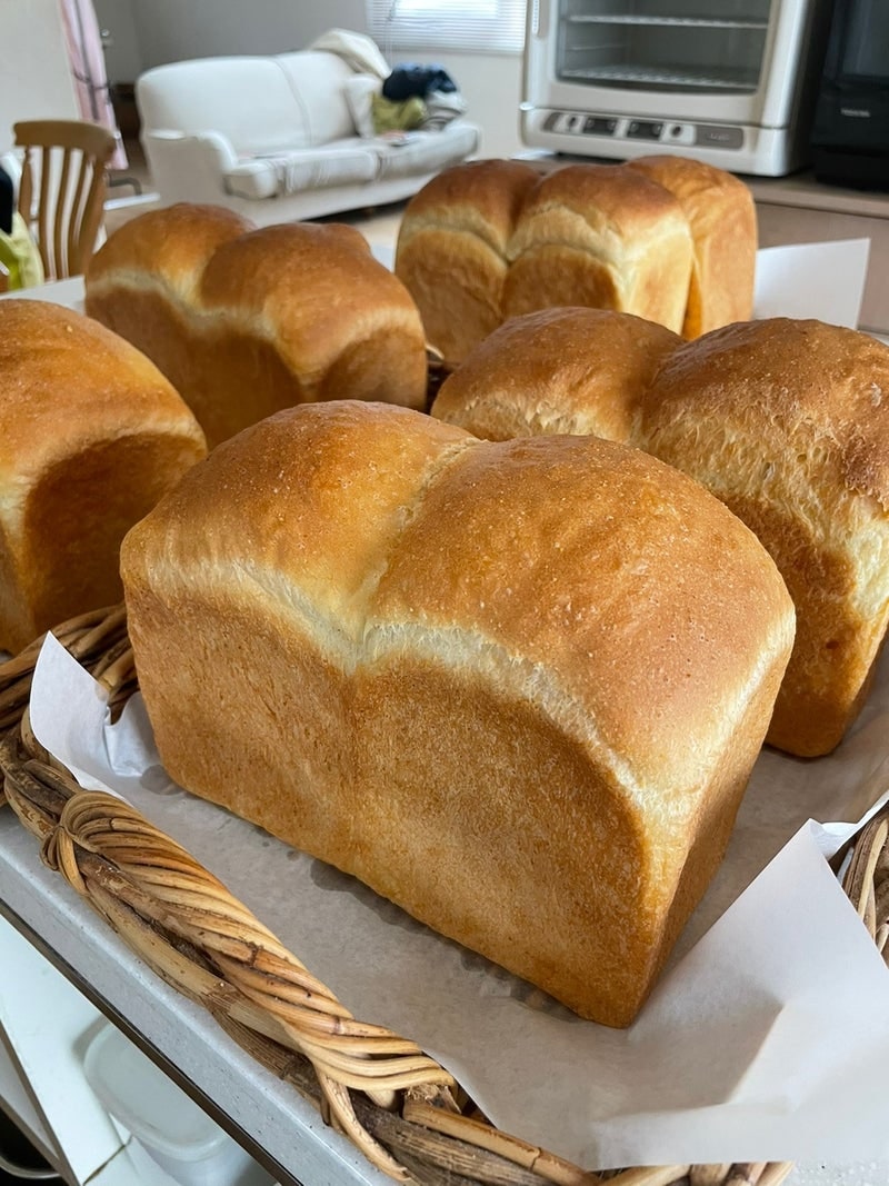 동물의 숲] 아이템 판매 · 마일티켓 · 만지작 · 풀카탈 · 레시피 공략 : 네이버 블로그