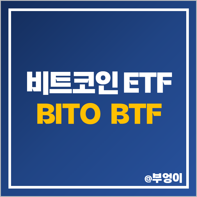 비트코인 현물 ETF 출시? 미국 선물 ETF BITO BTF 주가 : 가상자산 관련주