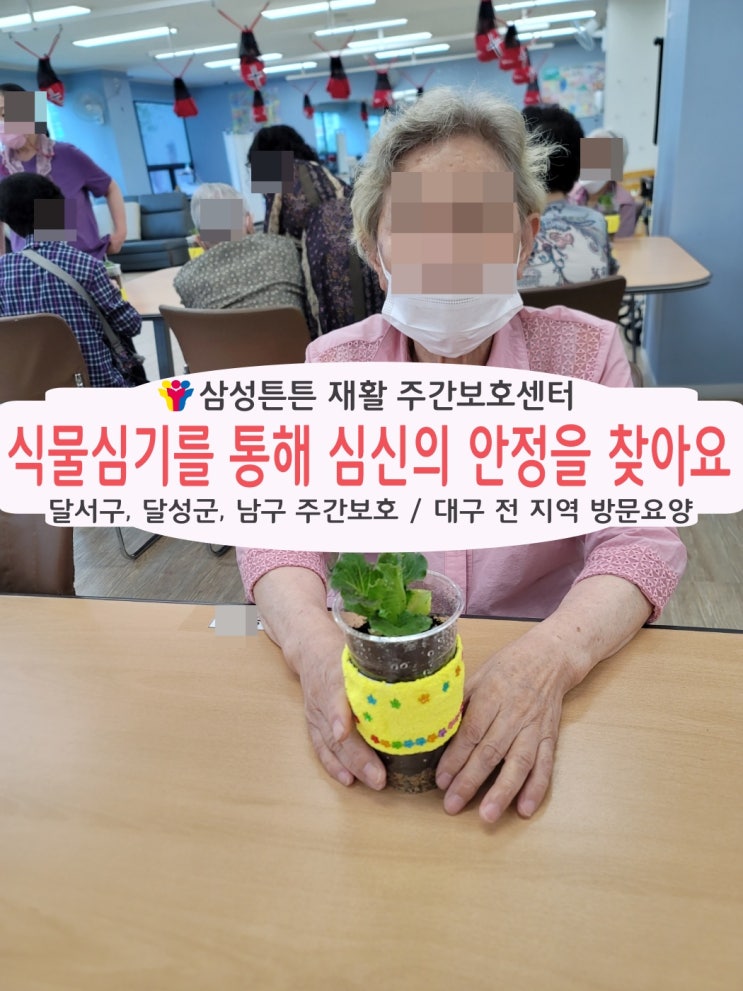  용산동, 본리동 주간보호센터에서 상추심기를 해요