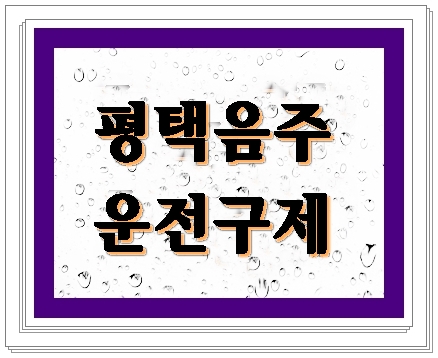  평택 음주운전 현장직 구제