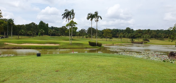  [조호르바루(조호바루)] 팜 리조트 CC (Palm Resort Golf & Country Club)
