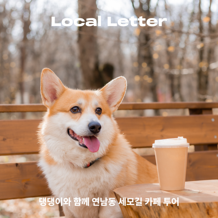  [Local Letter] 댕댕이와 함께 연남동 세모길 카페 투어