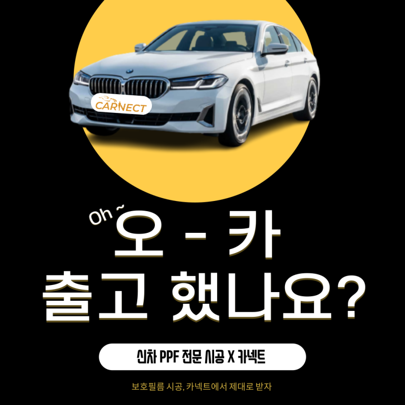 경기 하남 감초로 / PPF / 기타 브랜드 / 기타