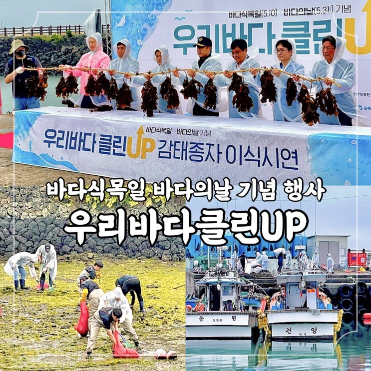  바다식목일 바다의날 기념행사, 우리바다클린UP / 제주해양경찰청 수중 연안 정화 활동 및 블루카본 보호 활동