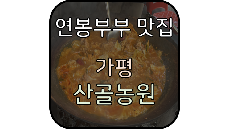  [가평 맛집] '산골농원' 참나무 장작의 강력한 화력으로 졸이는 닭볶음탕 맛집!