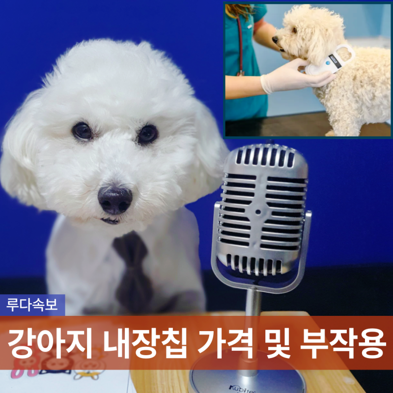 강아지 내장칩 가격 반려동물 등록 비용 및 부작용 가능성은?