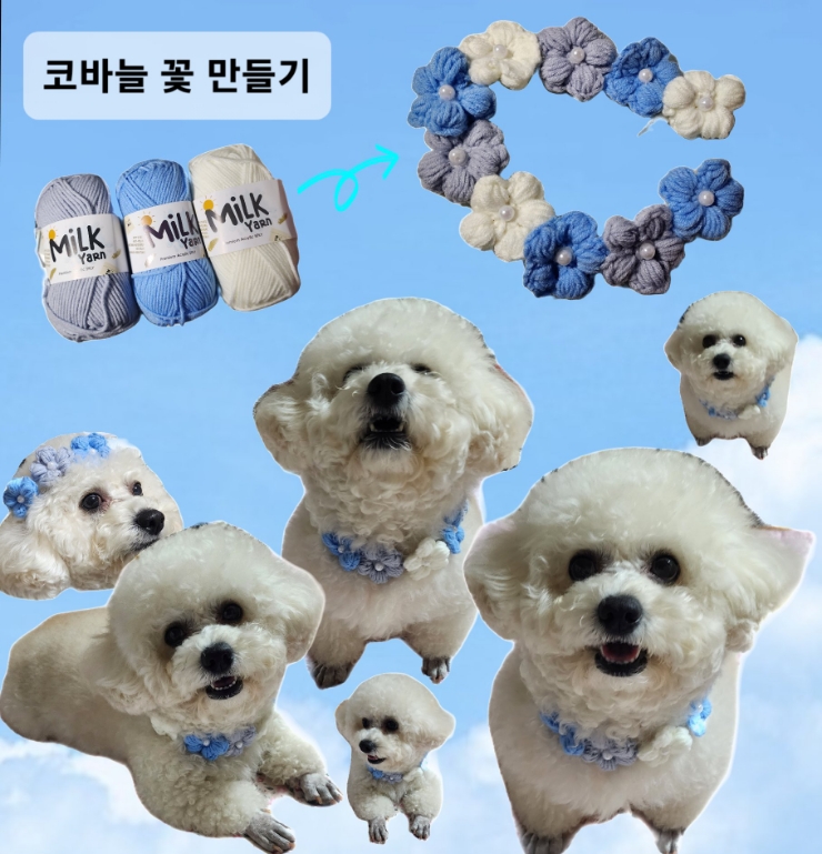  코바늘 1탄) 코바늘로 꽃송이를 만들어서 강아지 목걸이 만들기.