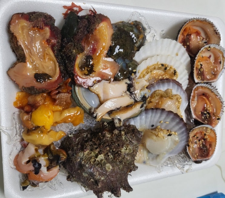  [당진 삽교천 어시장 횟집 태진수산] 싱싱한 해산물 삽교호맛집