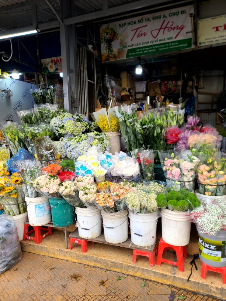  5월 나트랑여행+달랏 4