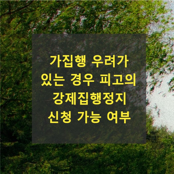  가집행 우려가 있는 경우 피고의 강제집행정지 신청 가능 여부