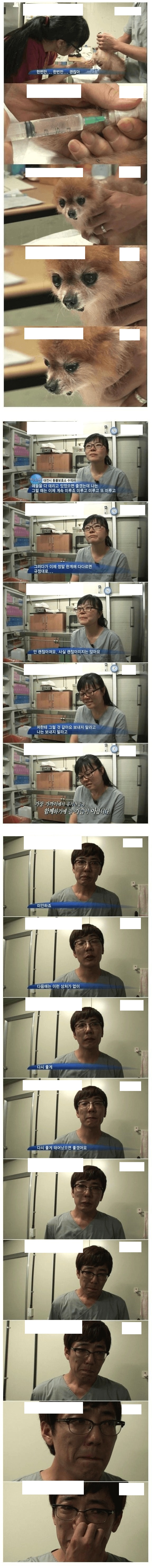  주인 없는 유기견들을 안락사시킬때 느끼는 감정을 이야기하는 수의사들