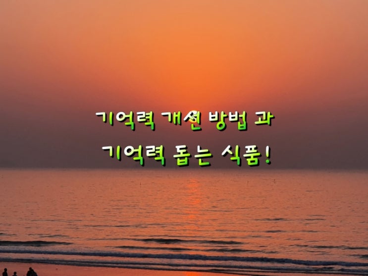 기억력 개선 방법 과 기억력 돕는 식품!