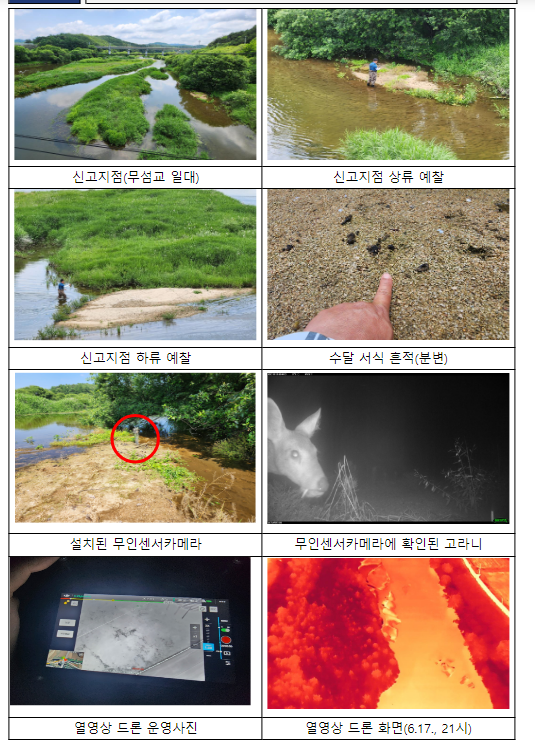 경북 영주시 악어추정 신고 정밀 수색 결과, 악어 흔적 미발견, 지속 감시 예정 경북 영주시 악어추정 신고 정밀 수색 결과, 악어 흔적 미발견, 지속 감시 예정