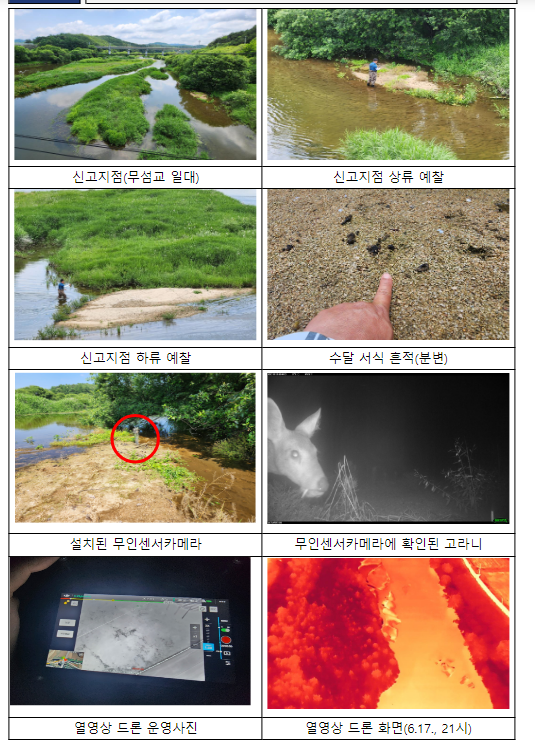 경북 영주시 악어추정 신고 정밀 수색 결과, 악어 흔적 미발견, 지속 감시 예정