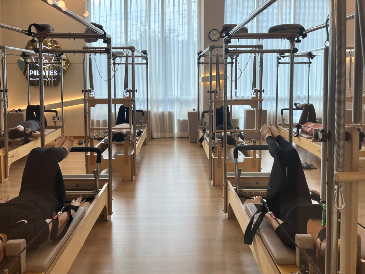  전주 직장인 실내 운동, 거북목 일자목 원인과 치료법