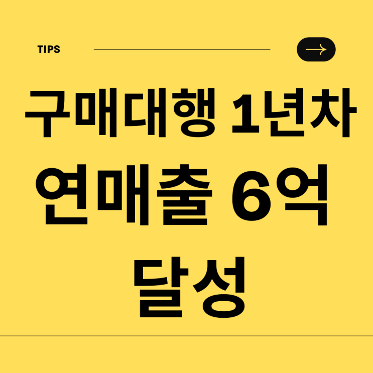  유럽 구매대행 1년 연 매출 6억 달성, 스마트 스토어 쇼핑몰 시작부터 현재까지.