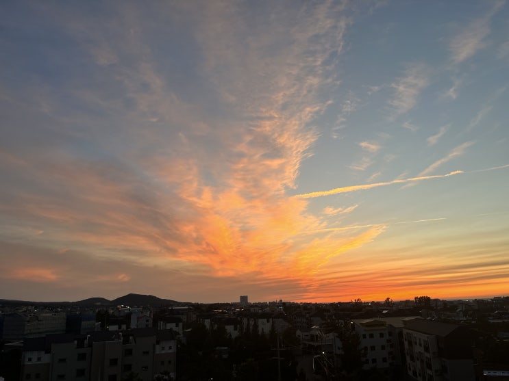  요가원을 차리다. 2.계약금을 날리다.
