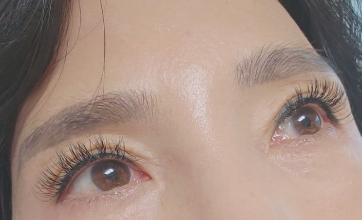  속눈썹잘하는곳 유라인뷰티 울산달동 속눈썹연장샵 추천