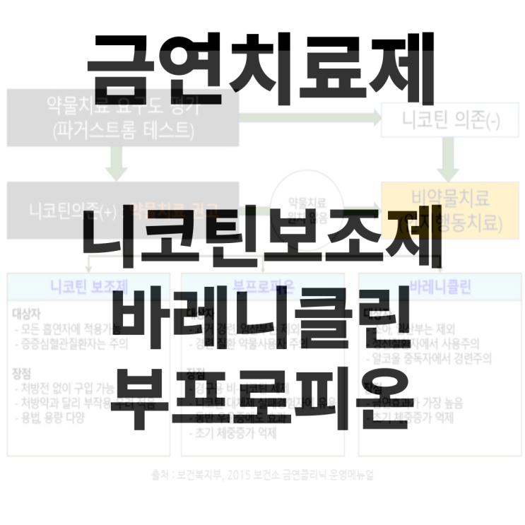  금연치료제(니코틴보조제 바레니클린 부프로피온)