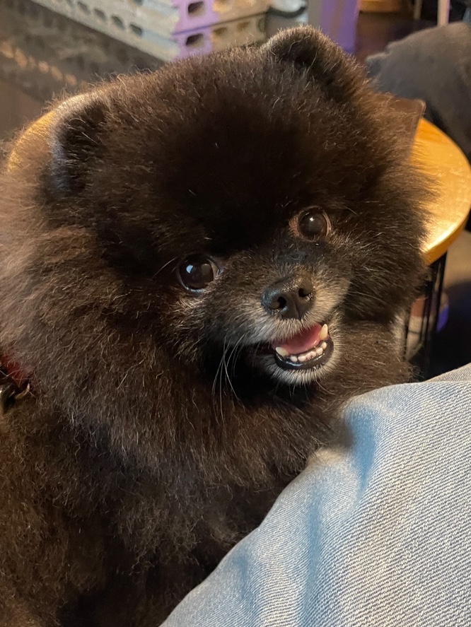  작고 소중한 탄이~!