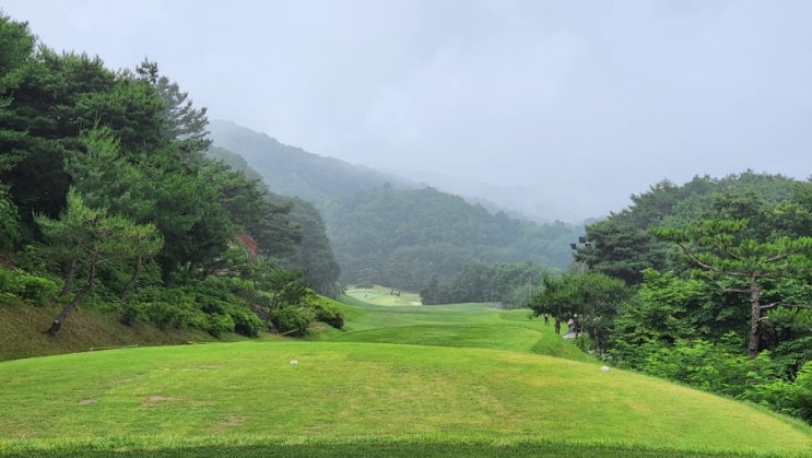  센츄리21CC 회원제 코스 라운드 후기 변별력 있고 재밌어요. 무기명회원권 정보 알아봅니다.