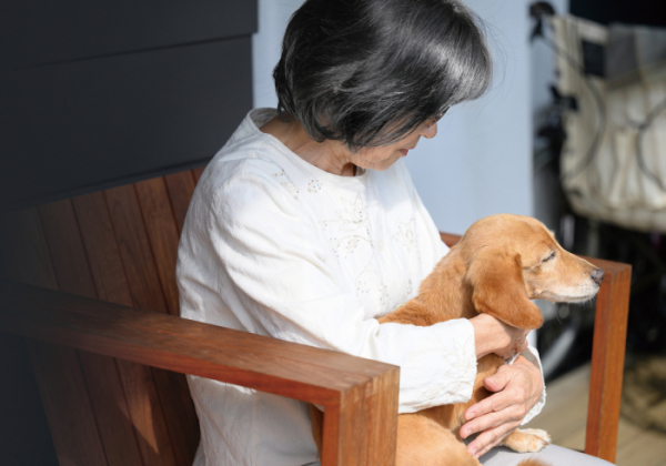 日 시니어, “반려동물 혼자 남으면 어떡하나” 돌봄 고민 커 日 시니어, “반려동물 혼자 남으면 어떡하나” 돌봄 고민 커