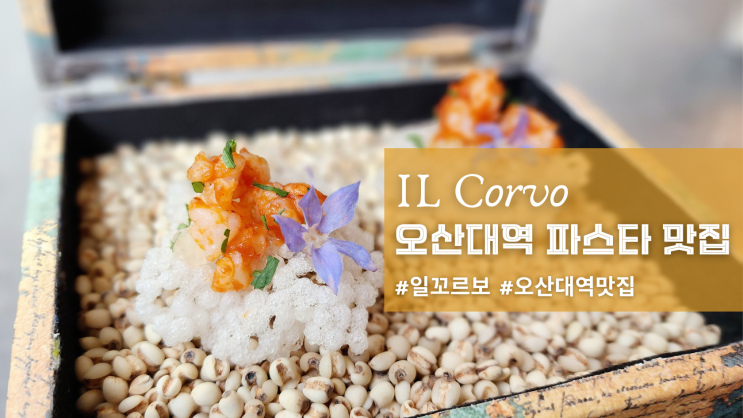  [오산 일꼬르보] 오산대역 물향기수목원 파스타 맛집