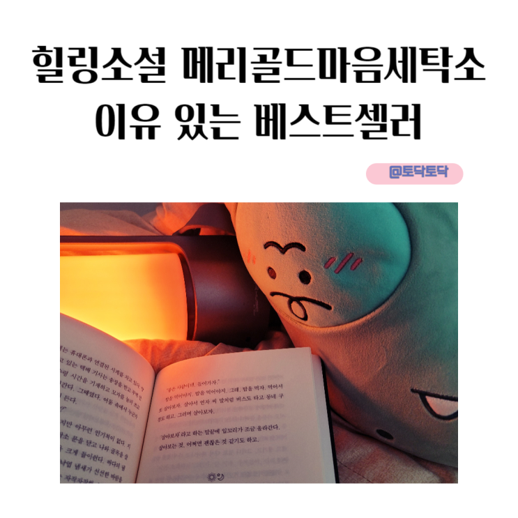 힐링소설 메리골드마음세탁소 이유 있는 베스트셀러 힐링소설 메리골드마음세탁소 이유 있는 베스트셀러